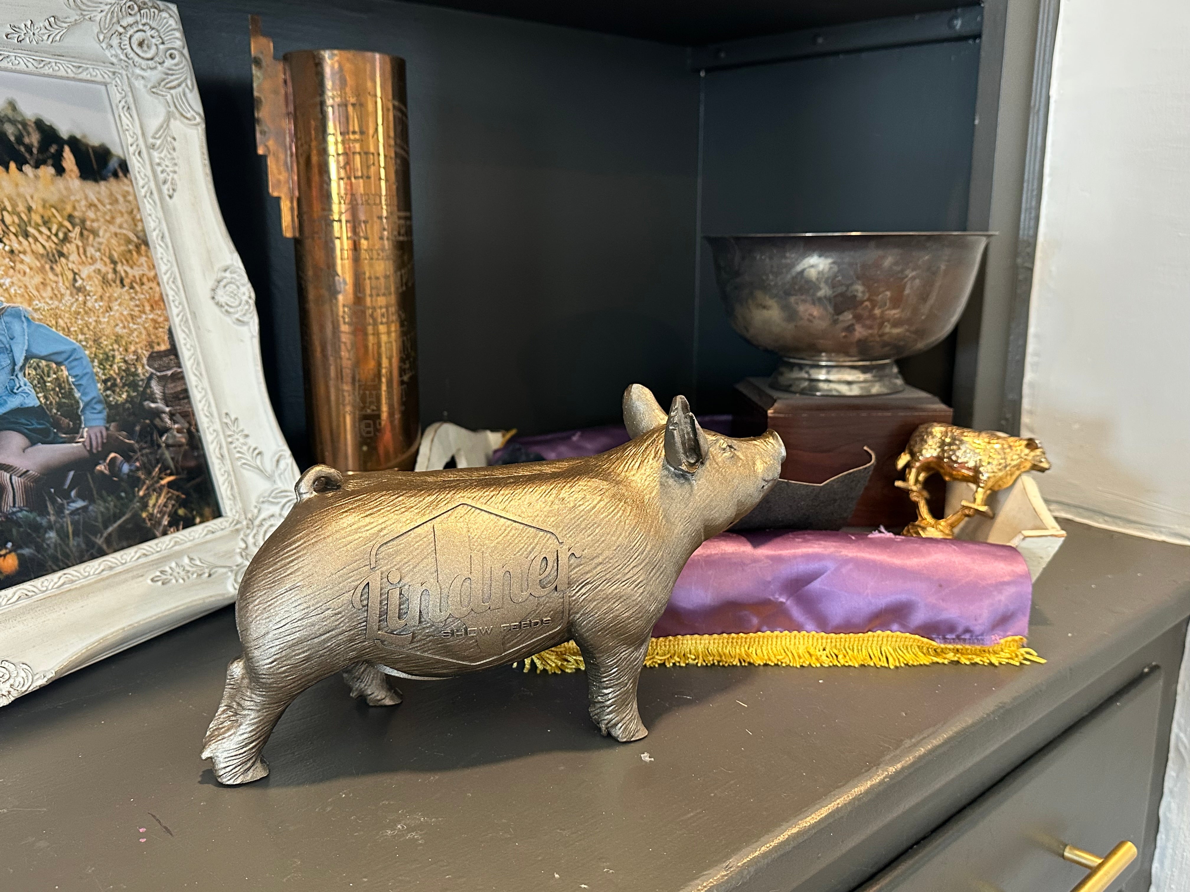 PIGGY BANK Lindner Show Feeds