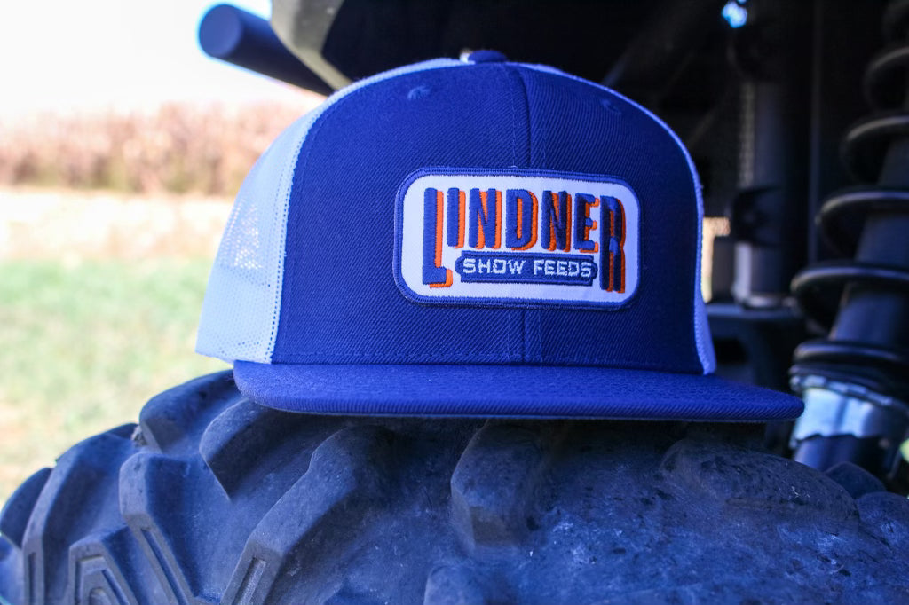 Navy with White mesh Flat bill Patch Cap. Adjustable snapback.